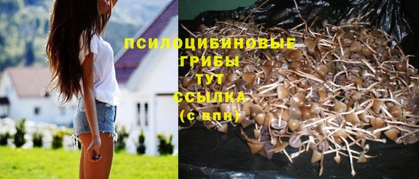 мяу мяу мука Балабаново